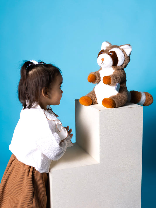 Plush Raccoon Hot Water Bottle