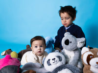 Koala Plush Hot Water Bottle 