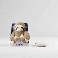 Sachet de graines de lin