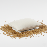 Sachet de graines de lin