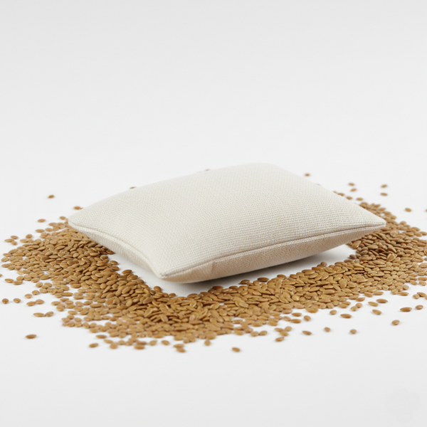 Sachet de graines de lin